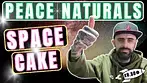  Peace Naturals Space Cake | UK Medical Cannabis 