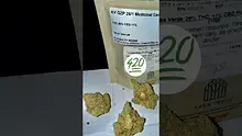 The Green Prescription Video Thumbnail