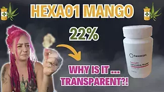Hexacan 22% MANGO Flower Strain Review | Medical Cannabis UK