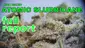 Video Thumbnail: Smacksalad