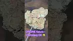 ORIGINE NATURE ~ Chemdawg Og (25.8%) *NOT AS EXPECTED*