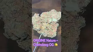 ORIGINE NATURE ~ Chemdawg Og (25.8%) *NOT AS EXPECTED*