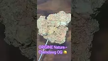 Smokey Mo Video Thumbnail