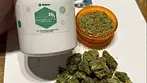 Khiron 2022 Hindu Kush 100 Indica