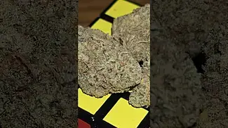 Greyscales - Gelato Dream T26 (Gelato 41 x Loud Dream) Sweet berry exhale - super smooth and clean!!