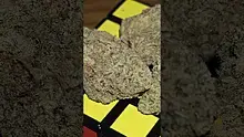Vinnie's Lounge Video Thumbnail