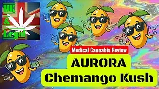 Aurora Chemango kush uk medical cannabis review