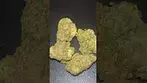 Upstate ~ Kush Cookies T25 Review in description 