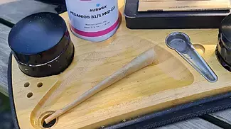 Aurora's Pink Desiel (Fast Review) #medicalcannabis #review #PinkDesiel