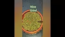 THC Bunny Video Thumbnail