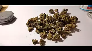 MEDICAL CANNABIS UK 2024.. REVIEW OF TILRAY ALIEN DAWG...