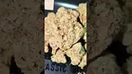 4C LABS PUCKER UP (UK PRESCRIPTION MEDICATION)