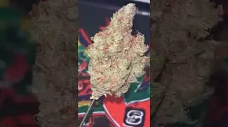 Big Narstie ~ Moroccan Peaches (23.4%) Info in description