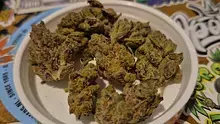 Keep Blazing Stay Amazing Video Thumbnail