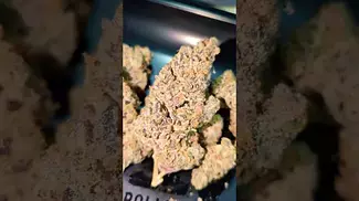 CRAFT BOTANICS SUPERBOOF (UK PRESCRIPTION MEDICATION)