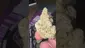 Video Thumbnail: Smokie McGreen