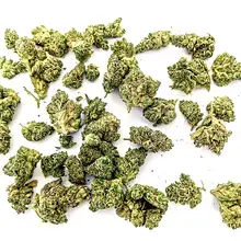 Four20 Pharma Natural T18 Gorilla Glue #4 Medical Cannabis Flower