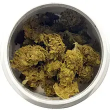 Adven® Cura-10 T18 Sorbet Medical Cannabis Flower