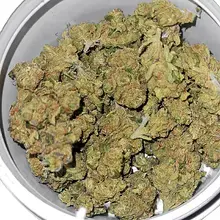 Adven® Cura-5 T18 Three Green Kings Medical Cannabis Flower