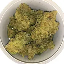 Adven® EMT-3 T20 Glory Glue Medical Cannabis Flower
