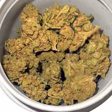 Adven® EMT-3 T17 Glory Glue Medical Cannabis Flower