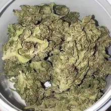 Adven® EMT-4 T18 Milky Cake Medical Cannabis Flower