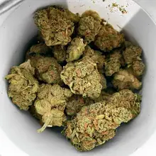 Althea™ T18 Girl Scout Cookies Medical Cannabis Flower