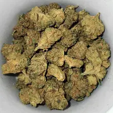 Althea™ T25 Powdered Donuts Medical Cannabis Flower