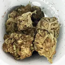 Aurora® CanVALUE T22 Delahaze Medical Cannabis Flower