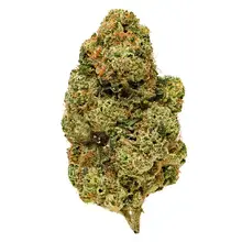 Aurora® Pedanios EHD T26 Electric Honeydew Medical Cannabis Flower