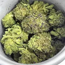 Aurora® PNK T24 Pink Kush Medical Cannabis Flower