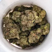 Aurora® Pedanios FRG T27 Farm Gas Medical Cannabis Flower