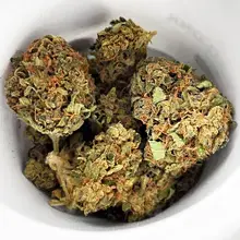 Aurora® Pedanios T22 Ghost Train Haze Medical Cannabis Flower