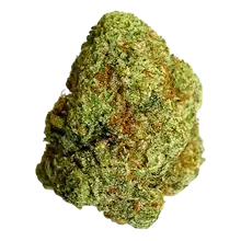 Big Narstie Medical GK T28 Gorilla Kush Medical Cannabis Flower