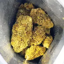 CannFX Stratus T20 Wappa Medical Cannabis Flower