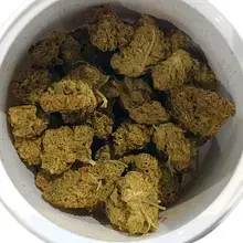 Cellen™ Satoline T20 White Widow Medical Cannabis Flower