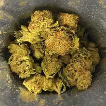 ECS Pharma T24 Bafokeng Choice Medical Cannabis Flower