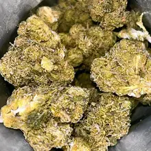 Fotmer Life Sciences T3h T22 Purple Dog Bud Medical Cannabis Flower