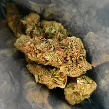 Four20 Pharma GMO T30 GMO Cookies Medical Cannabis Flower
