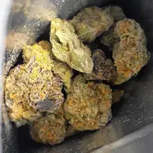Green Karat FS T29 Fiji Sunset Medical Cannabis Flower