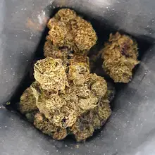 Green Karat MG T27 Modified Gas Medical Cannabis Flower