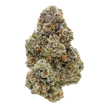 GreenSeal Cannabis PLM T33 Platinum MAC Medical Cannabis Flower