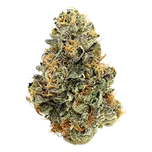 GreenSeal Cannabis RGS Smalls T30 Rainbow Guava Medical Cannabis Flower