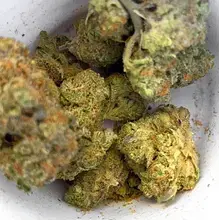 Grow® Pharma T20 Hellfire OG Medical Cannabis Flower