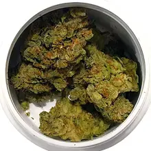 Grow® Pharma LAS T22 L.A. S.A.G.E. Medical Cannabis Flower