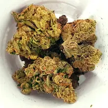 Herdade das Barrocas TZE T24 Tigerz Eye Medical Cannabis Flower