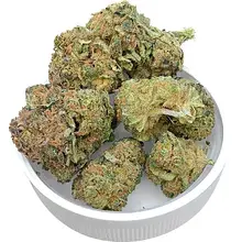 Hexacan® HEXA01 T26 Mango Cross Medical Cannabis Flower