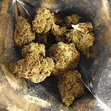 Khiron GK T24 Green Knight Medical Cannabis Flower