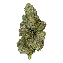 Kiseki MFS T23 Mount Fuji Medical Cannabis Flower