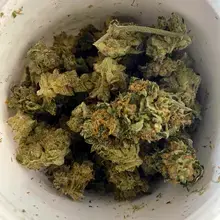 MedCan Isando T22 Birthday Cake Medical Cannabis Flower